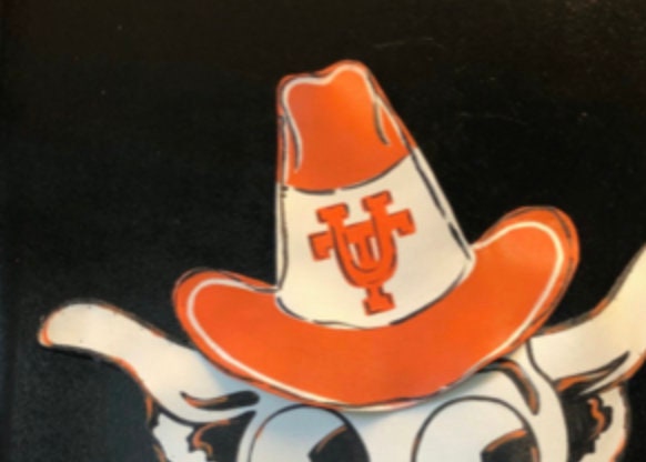 University of Texas Door Decor / Screen Wire University of Texas Bevo Longhorn with Hook 'em Horns Banner and UT Hat Door Hanger Wreath